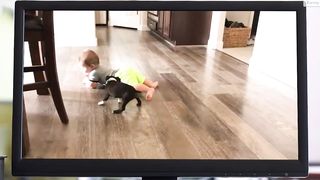 Cute Baby and Dog