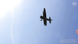 WINGS OF STEEL