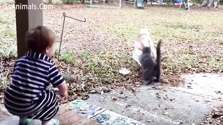 Cuta cat