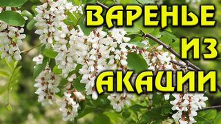 Варенье из акации
