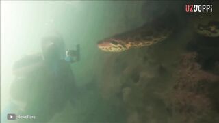 Дунёни Лол Колдирган Видео Вахший Котиллар → (https://youtube.com/watch?v=ToOhskgqLE4)