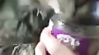 Голодный как собака