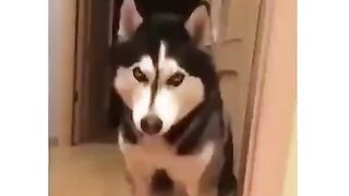 Как твои дела?