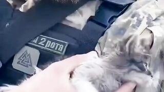 Дуже миле відео