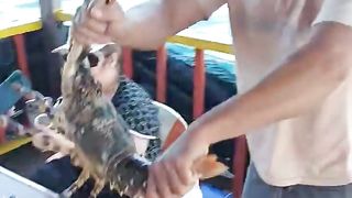 Sea food lovers