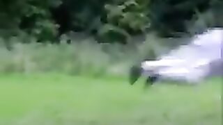 Meilleurs chutes