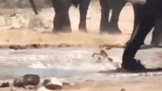 Awesome video ????