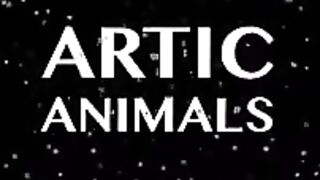 Amazing sea animals