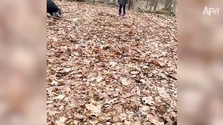 Things That Went POORLY Best Funny Jump Fails AFV 2022.
