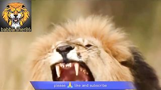 Delhi safari cartoon part 3| comedy movies | babbarsher86 | Sher ki kahani