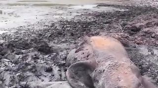 Awesome video ????