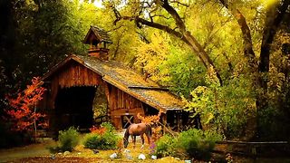 Stress Relief music, relaxing meditation music, meditation music, relaxing music