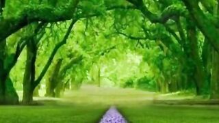 ‪If the path be beautiful, let us not ask... - Nature is Alisha Poetry‬.