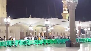 مدینہ منورہ مسجد نبوی کی رونقیں