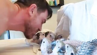Bedtime Routine with cute Baby Parrots