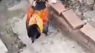 Unbleaveable fight