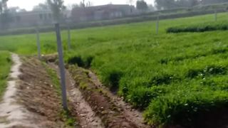 How to watered crops