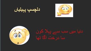 pehaliyan | مزے دار پہیلیاں | GeniusWorld