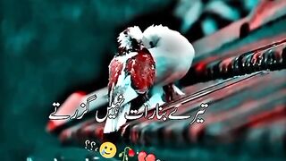 Sad whatsap status