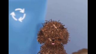 Take care stray dog /Clean puppy /Asmr hospital /dog video