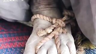 Balochi Doch Balochi culture
