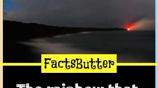 Facts Of The Day
