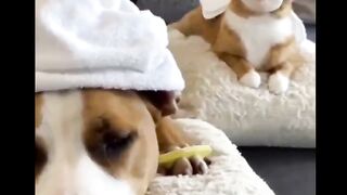 Complete relaxation????