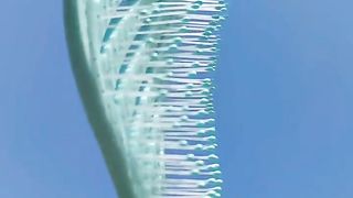 Curly Hair Detangling Brush