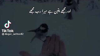 میرا یقین۔۔۔