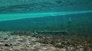 Nature water