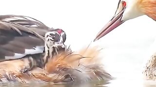 ????????????????????????????