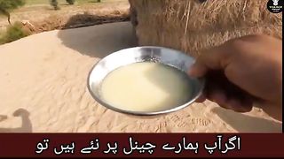 Traditional desert village food I Women Routine Pakistan I Village life Punjab