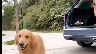 What a lovely golden hair