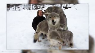 Ces animaux retrouvent leurs propriétaires après des années!