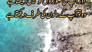 Urdu Quotes