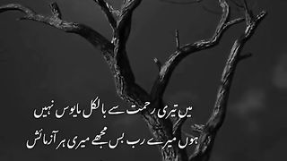 میری تیرے رحمت سے مایوس نہیں ..... اشتہار پر کلک کرکے ارنگ کریں