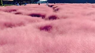 So amazing video watch end ????