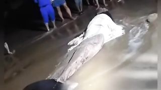 What do think??? It's real or fake???