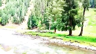 Beauty of Kashmir