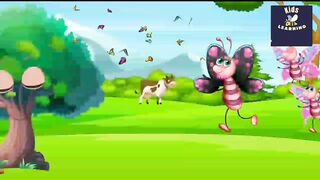 Butterfly thoughts