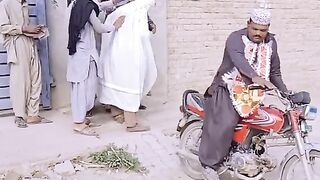 funny videos