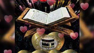 Islamic short's Nat video febspot
