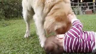 Baby play with dog