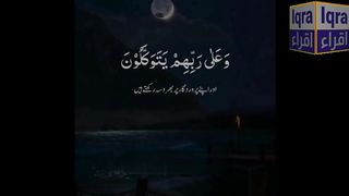 Iqra Tv||Qari Syed Sohaib Kazim Muhammad Ul-Faisal