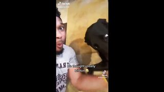 Funny Animal Videos that Make Me Burst Into Tears Laughing ???? (CUTE)