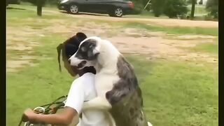 Wellcome ????????to Funny Videos 2.0 ????| We have Selected most Funniest Viral Videos.Don't forget to like and Follow