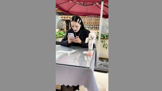 Cute Puppy