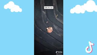 TIKTOK COMPILATION 01
