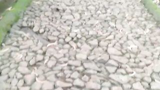 Taman rekreasi Paling bagus diyogyakarta