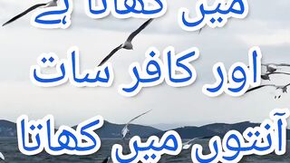 Hadees E Pak S.A.W